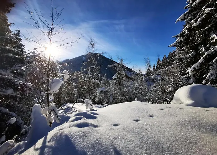Chalet Caprea