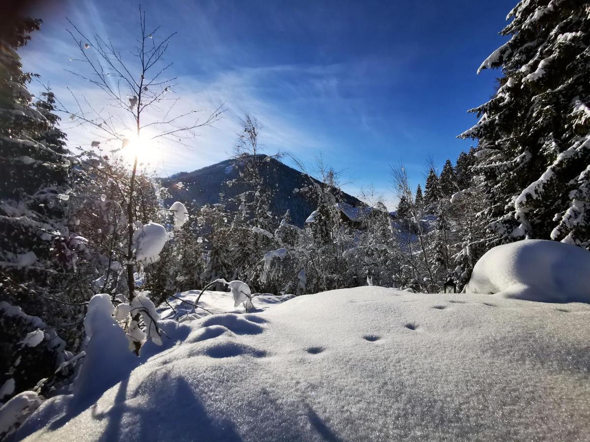 Caprea Chalet Bad Kleinkirchheim